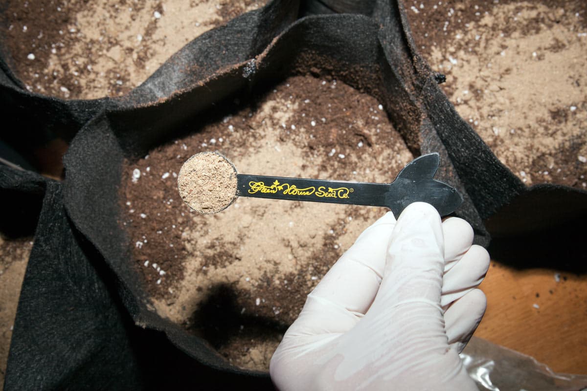 Aplicación de abono BIO en la mezcla del sustrato