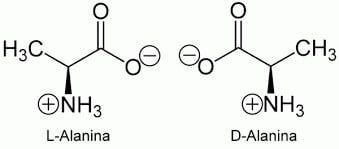 Aminoácidos en plantas foto 2